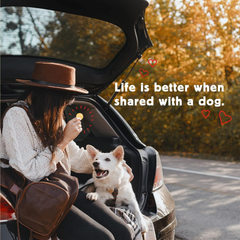 Cloud Star Wag More Bark Less Human Grade Sandwich Cookie: Peanut Butter