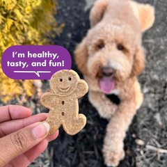 BUDDY BISCUITS Box of Crunchy Dog Treats Made with Assorted Flavors of Roasted Chicken, Grilled Beef, and Sharp Cheddar