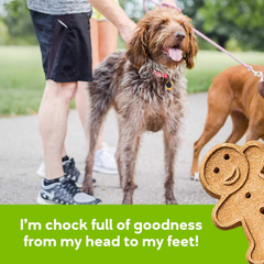 Buddy Biscuits Oven Baked Teeny Treats, Whole Grain Treats for Small or Toy Breed Dogs, Roasted Chicken