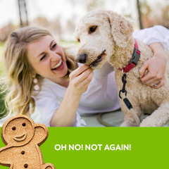 Buddy Biscuits Oven Baked Teeny Treats, Whole Grain Treats for Small or Toy Breed Dogs, Roasted Chicken