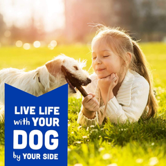 Cloud Star Wag More Bark Less Soft Chews Dog Treats, Bacon, Cheese, & Apples