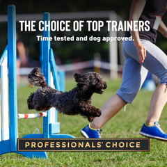 Cloud Star Tricky Trainers Mini Liver