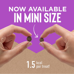 Cloud Star Tricky Trainers Mini Liver