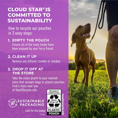 Cloud Star Tricky Trainers Mini Liver