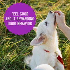 Cloud Star Tricky Trainers Soft & Chewy Dog Training Treats, Liver Flavor, Grain-Free Low Calorie Behavior Aid with 310 treats