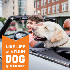 Cloud Star Wag More Bark Less Oats & Grains Crunchy Dog Treats, Peanut Butter