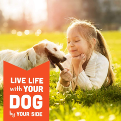 Cloud Star WagCloud Star Wag More Bark Less Original Soft & Chewy Dog Treats, Corn & Soy Free, Baked in USA More Bark Less Original Soft & Chewy Dog Treats