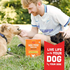 Cloud Star Wag More Bark Less - Dog Treats - Crunchy Biscuits - Grain Free Peanut Butter & Apples