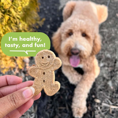 Buddy Biscuits Grain-Free Crunchy Dog Treats Made with Natural Roasted Chicken