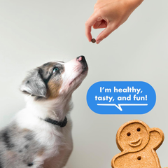 Buddy Biscuits Trainers Pouch of Training Bites Soft & Chewy Dog Treats Made with Bacon Flavor