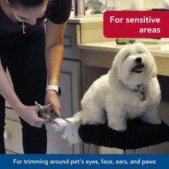 Coastal Pet Safari Dog Safety Scissors for Trimming Hair Around Eyes, Ears & Paws of All Dog Breeds