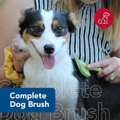 Coastal Pet Safari Complete Dog Brush - 2-in-1 Design Dog Slicker Brush with Grooming Bristles - Detangling & Dematting Dog Brush