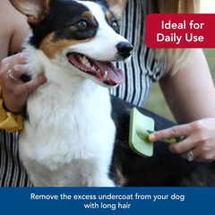 Coastal Pet Safari Complete Dog Brush - 2-in-1 Design Dog Slicker Brush with Grooming Bristles - Detangling & Dematting Dog Brush