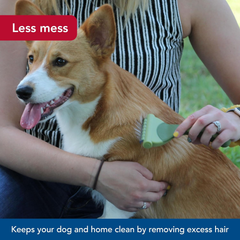 Coastal Pet Safari Shed Magic Deshedding Tool for Dogs with Medium to Long Hair - Deshedding & Detangling Dog Brush