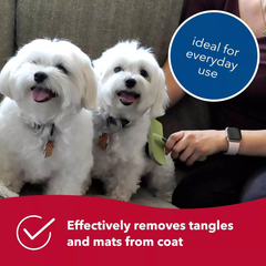 Coastal Dog Slicker Brush, Green - Grooming & Shedding Brush for Dogs of All Hair Types - Curved Design for Easy Detangling - Non-Slip Handle