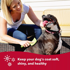 Coastal Dog Slicker Brush, Green - Grooming & Shedding Brush for Dogs of All Hair Types - Curved Design for Easy Detangling - Non-Slip Handle