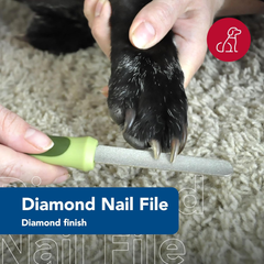 Coastal Pet Safari Dog Diamond Nail File - Diamond Finish for Smooth Nails - Removes Burs from Outdoor & Indoor Dogs