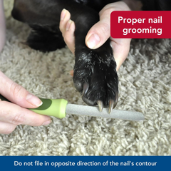 Coastal Pet Safari Dog Diamond Nail File - Diamond Finish for Smooth Nails - Removes Burs from Outdoor & Indoor Dogs