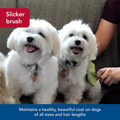 Coastal Pet Safari Curved Firm Slicker Brush - For Dog Grooming and Detangling All Hair Types