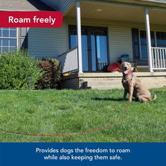 Coastal Pet Titan Heavy Cable Dog Tie Out - Heavy-Duty Dog Tie Out Cable - Cable Tie Out for Dogs up to 80 lbs - Rust-Resistant Pet Tie Out Cable - Quality Dog Supplies