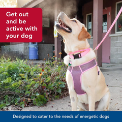 Coastal Pet Comfort Soft Sport Wrap Adjustable Dog Harness - Large & Small Dog Harness - Durable Harness for Dogs with Mesh Chest Pad - Grey with Red