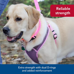 Coastal Pet Comfort Soft Sport Wrap Adjustable Dog Harness - Large & Small Dog Harness - Durable Harness for Dogs with Mesh Chest Pad - Grey with Red