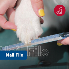 Coastal Pet Safari Dog Nail File - Ensure a Smooth Finish After Cutting - Remove Burs from Outdoor & Indoor Dogs