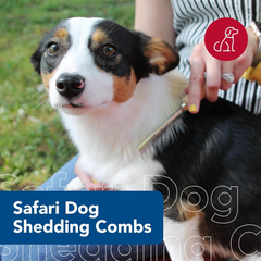 Coastal Pet Safari Dog Shedding Combs - Dog Shedding Brush for Dogs with Short and Long Hair - Different Sized Teeth for Undercoat Rake