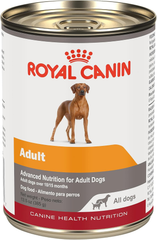 Royal Canin Canine Health Nutrition Adult In Gel Canned Dog Food