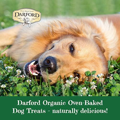 Darford Organic Premium Dog Treat - Peanut Butter
