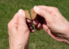 Darford - Zero/G Roasted Chicken Recipe Dog Treats