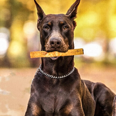 Fieldcrest Farms Nothin' to Hide 10" Large Roll Peanut Butter Flavored Dog Chew, 180 Gram, Count of 2