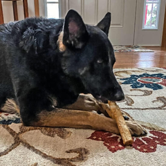 Fieldcrest Farms Nothin' to Hide 10" Large Roll Peanut Butter Flavored Dog Chew, 180 Gram, Count of 2