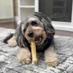 Fieldcrest Farms Nothin' to Hide Collagen-Based Dog Chews, Wishbone, Chicken Flavor, Ultra-Premium, for Dogs Over 50lbs, Easily Digestible, Supports Skin, Coat, Joints & Muscles