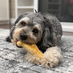 Fieldcrest Farms Nothin' to Hide Collagen-Based Dog Chews, Wishbone, Chicken Flavor, Ultra-Premium, for Dogs Over 50lbs, Easily Digestible, Supports Skin, Coat, Joints & Muscles