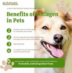 Fieldcrest Farms Nothin to Hide Flip Chips Chews for Dogs - All Natural Rawhide Alternative Treats for Dogs, Chicken, Beef or Peanut Butter Flavor Snack for All Breed Dogs