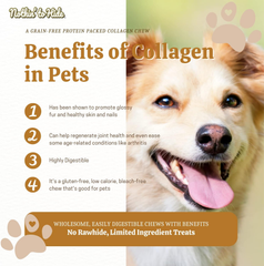 Fieldcrest Farms Nothin to Hide Flip Chips Chews for Dogs - All Natural Rawhide Alternative Treats for Dogs, Chicken, Beef or Peanut Butter Flavor Snack for All Breed Dogs (Peanut Butter)