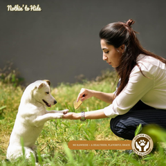 Fieldcrest Farms Nothin to Hide Flip Chips Chews for Dogs - All Natural Rawhide Alternative Treats for Dogs, Chicken, Beef or Peanut Butter Flavor Snack for All Breed Dogs (Peanut Butter)