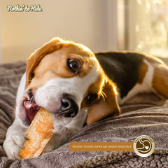 Fieldcrest Farms Nothin to Hide Flip Chips Chews for Dogs - All Natural Rawhide Alternative Treats for Dogs, Chicken, Beef or Peanut Butter Flavor Snack for All Breed Dogs (Peanut Butter)