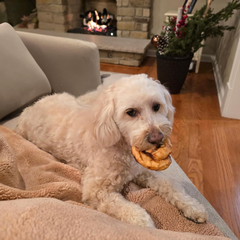 Nothin' to Hide Collagen-Based Dog Chews Medium Pretzel, Beef Flavor, Easily Digestible, Supports Skin, Coat, Joints & Muscles, for Moderate Chewers Under 15lbs