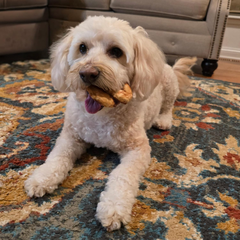 Nothin' to Hide Collagen-Based Dog Chews Medium Pretzel, Beef Flavor, Easily Digestible, Supports Skin, Coat, Joints & Muscles, for Moderate Chewers Under 15lbs