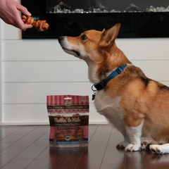 Nothin' to Hide Collagen-Based Dog Chews Small Knotted Bones, Beef Flavor, Easily Digestible, Supports Skin, Coat, Joints & Muscles, for Moderate Chewers Under 15lbs