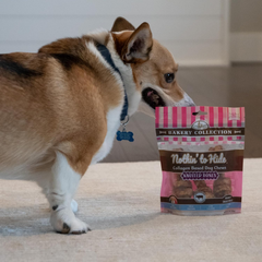 Nothin' to Hide Collagen-Based Dog Chews Small Knotted Bones, Beef Flavor, Easily Digestible, Supports Skin, Coat, Joints & Muscles, for Moderate Chewers Under 15lbs