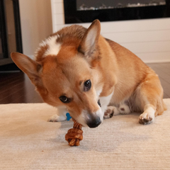 Nothin' to Hide Collagen-Based Dog Chews Small Knotted Bones, Beef Flavor, Easily Digestible, Supports Skin, Coat, Joints & Muscles, for Moderate Chewers Under 15lbs