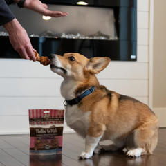 Nothin' to Hide Collagen-Based Dog Chews Small Knotted Bones, Beef Flavor, Easily Digestible, Supports Skin, Coat, Joints & Muscles, for Moderate Chewers Under 15lbs