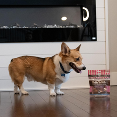 Nothin' to Hide Collagen-Based Dog Chews Small Knotted Bones, Beef Flavor, Easily Digestible, Supports Skin, Coat, Joints & Muscles, for Moderate Chewers Under 15lbs