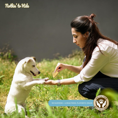 Fieldcrest Farms Nothin to Hide Flip Chips Chews for Dogs - All Natural Rawhide Alternative Treats for Dogs, Chicken, Beef or Peanut Butter Flavor Snack for All Breed Dogs