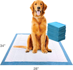 Four Paws Wee-Wee Superior Performance Unscented Extra-Large Pee Pads for Dogs & Puppies, Quilted Leak-Proof Dog Housebreaking Potty Training Floor Protection