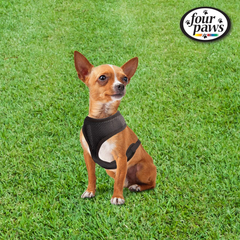 Four Paws Walk-About Comfort Control No-Pull Harness for Dogs, Adjustable Soft Padded Breathable Air Mesh Dog Vest for Walking, Black