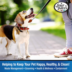 Four Paws Walk-About Comfort Control No-Pull Harness for Dogs, Adjustable Soft Padded Breathable Air Mesh Dog Vest for Walking, Black